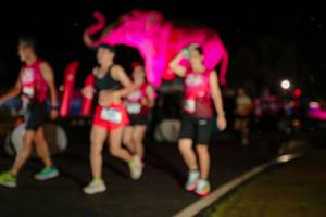 BIB: 
                            <button type="button" onclick="openModal(26535067)" class="btn btn-primary btn-sm float-right btn-popup" data-toggle="modal" data-target=".modal-high-quality">
                        <i class="fas fa-shopping-cart"></i> Add to Cart
                    </button>
                                            <button type="button" onclick="isThisMe(26535067, true)" class="btn btn-success btn-sm float-right btn-popup btn-isme hidden" data-toggle="tooltip" data-placement="bottom" title="นี่คือรูปของคุณใช่ไหม คลิกที่นี่เพื่อเอาเข้าอัลบั้ม">
                        <i class="fas fa-plus"></i> Add to album
                    </button>
                    <button type="button" onclick="isThisMe(26535067, false)" class="btn btn-warning btn-sm float-right btn-popup btn-isnotme hidden">
                        <i class="fas fa-ban"></i> Remove from album
                    </button>